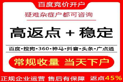 SEM代运营服务公司成功案例解析